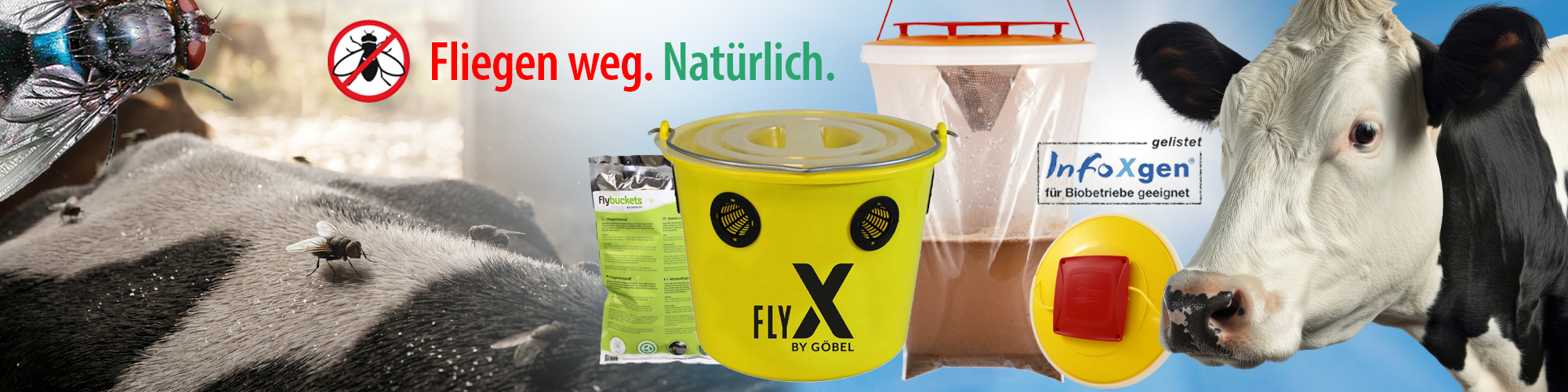 Fliegenbekämpfung auf die natürliche Art bei siepmann.net