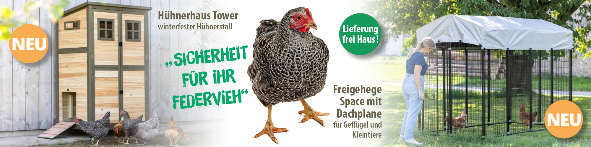 Hühnerhaus und Freigehege – sicher und artgerecht für glückliches Ferdervieh!