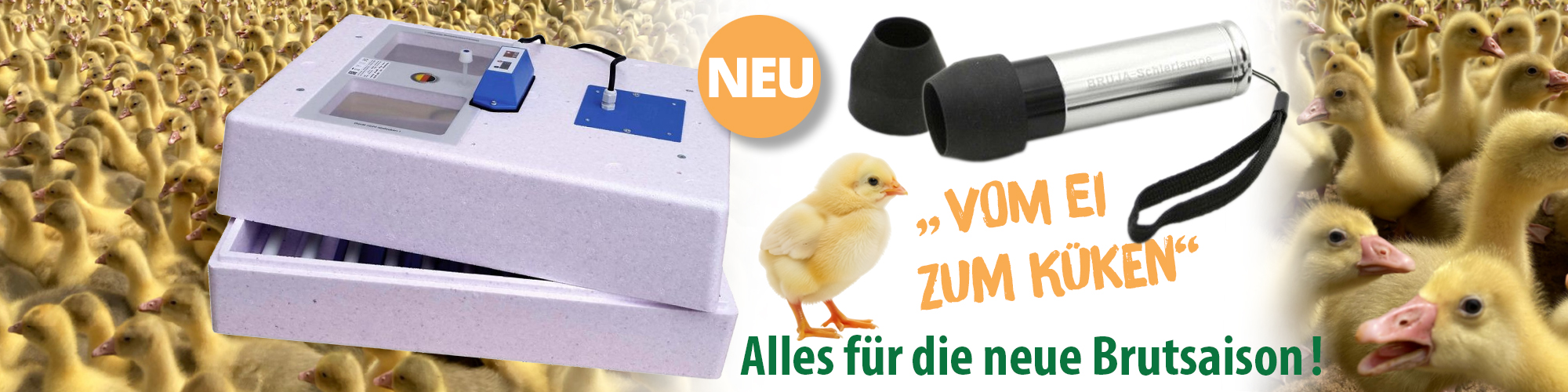 Vom Ei zum Küken | Alles für die neue Brutsaison!