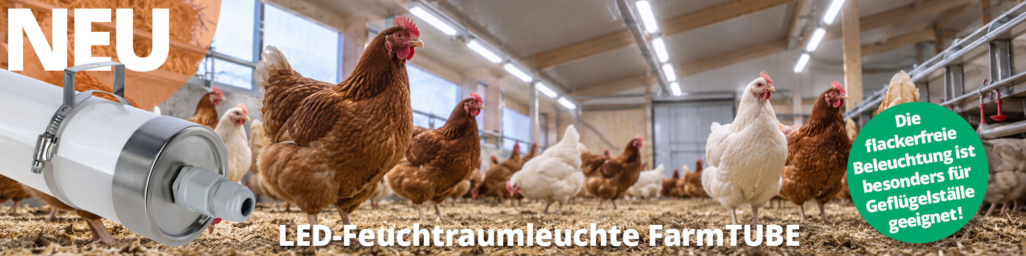 Die flackerfreie Beleuchtung besonders für Geflügelställe