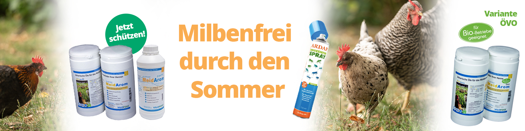 Milbenfrei durch den Sommer
