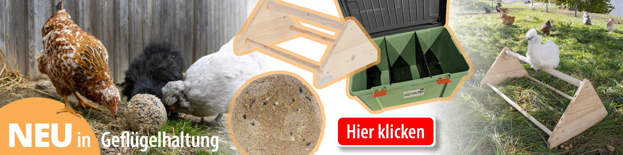 Neuheiten für Ihre Hühnerhaltung bei siepmann.net