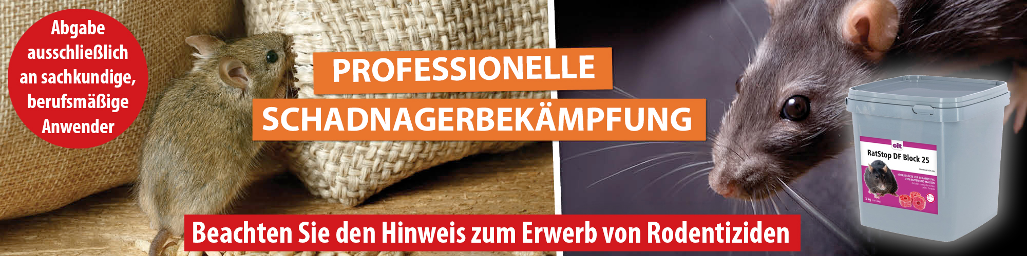 Professionelle Schadnagerbekämpfung mit siepmann.net