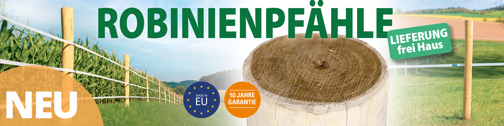 Robinienpfähle aus europäischem Hartholz | langlebig | witterungsbeständig und benötigen keine Imprägnierung!