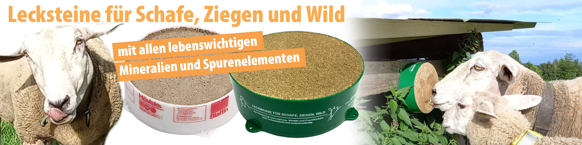Lecksteine für Ziegen, Schafe und Wild