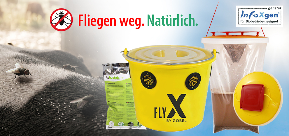 Effektive Fliegenbekämpfung für Stall & Weide hier bekommen Sie wichtige TIPPS